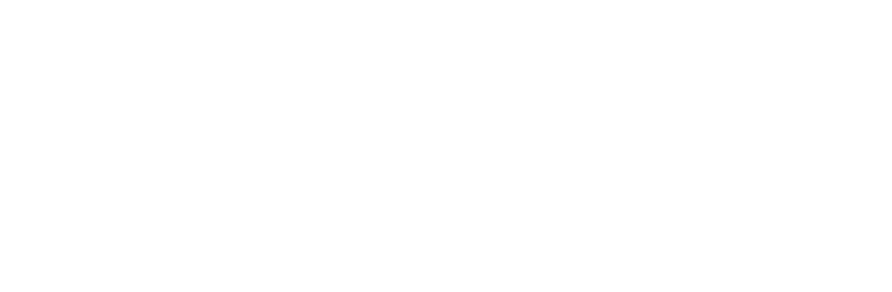 Logo DINAMICA_STAMPA Bianco